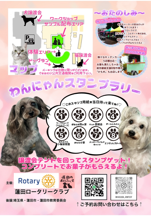 犬への鍼治療 浦和動物の病院 漢方相談