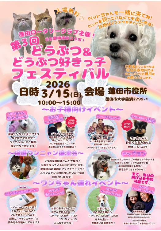 犬の鍼灸治療の様子 浦和動物の病院 東洋医学