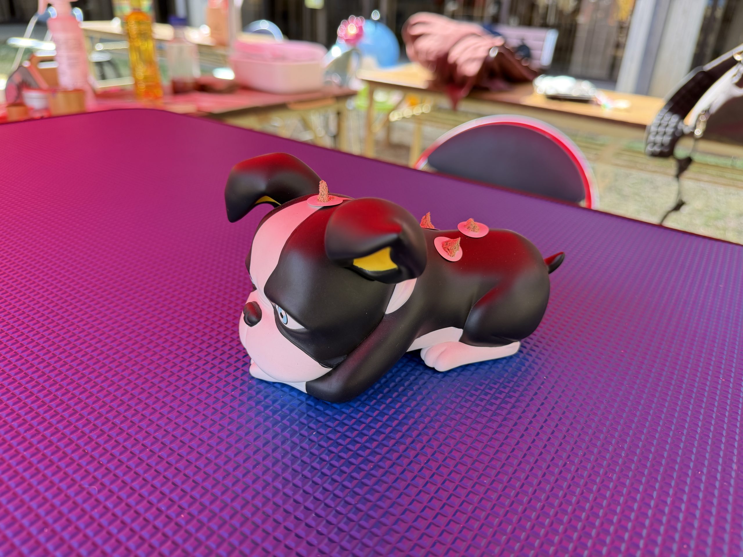 犬のツボ紹介 お灸体験 モデル犬 鍼灸イベント